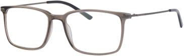 Ferucci FT-750 glasses in Grey