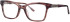 Joia J2586 glasses in Brown
