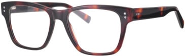 Synergy Syn-6048 glasses in Havana