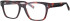 Synergy Syn-6048 glasses in Havana