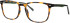 Visage VPlas-4701 glasses in Havana