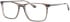 Colt 3552 glasses in Grey