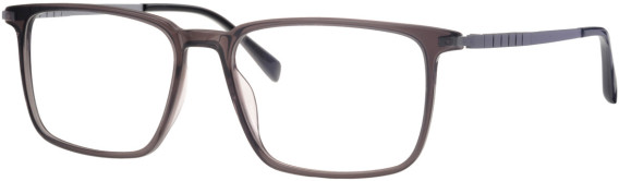Colt 3546 glasses in Grey