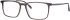 Colt 3546 glasses in Grey