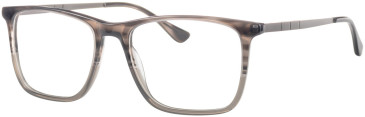 Colt 3552 glasses in Grey