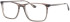 Colt 3552 glasses in Grey