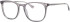 Colt 3553 glasses in Grey