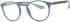 Colt 3554 glasses in Grey