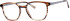 Colt 3558 glasses in Brown
