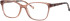 Elite 4629 glasses in Brown