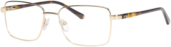 Elite 4705 glasses in Gold