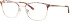Ferucci F1836 glasses in Brown