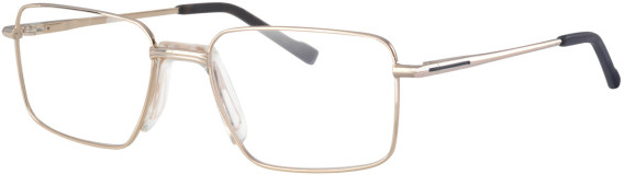 Ferucci F2050 glasses in Gold