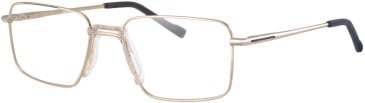 Ferucci F2050 glasses in Gold