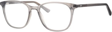 Ferucci F2201 glasses in Grey