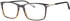 Ferucci F2203 glasses in Black/Brown