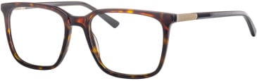 Ferucci F2210 glasses in Havana