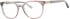 Ferucci F495 glasses in Brown