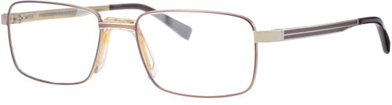 Ferucci FT-726 glasses in Brown/Gold