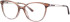 Joia J2583 glasses in Brown