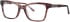 Joia J2586 glasses in Brown