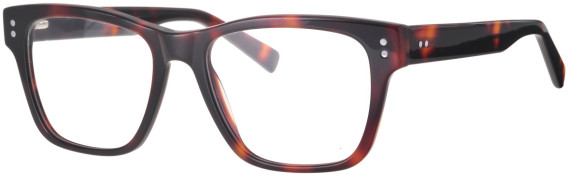 Synergy Syn-6048 glasses in Havana