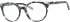 Synergy Syn-6076 glasses in Black