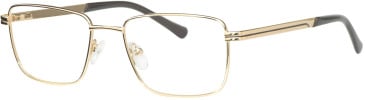 Visage VMet-4695 glasses in Gold