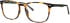 Visage VPlas-4701 glasses in Havana