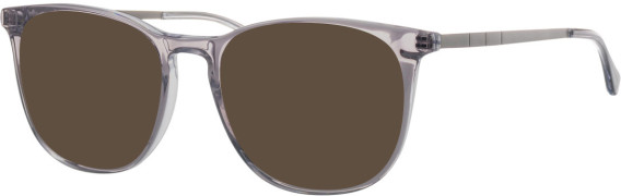 Colt 3553 glasses in Grey