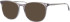 Colt 3553 glasses in Grey