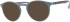 Colt 3554 glasses in Grey