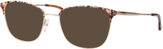 Ferucci F1836 glasses in Brown