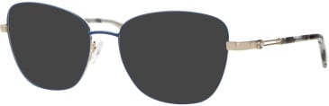 Ferucci F1838 glasses in Blue/Gold