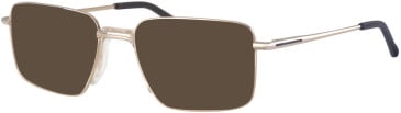 Ferucci F2050 glasses in Gold