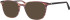 Ferucci F2201 glasses in Brown