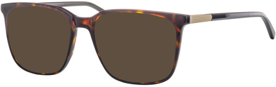 Ferucci F2210 glasses in Havana