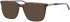 Ferucci F2210 glasses in Havana