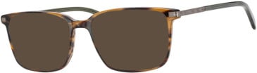Ferucci F2212 glasses in Brown