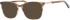 Ferucci F494 glasses in Brown