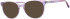 Ferucci F495 glasses in Purple