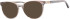 Ferucci F495 glasses in Brown