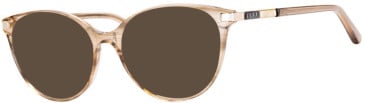 Ferucci F496 glasses in Brown