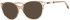 Ferucci F496 glasses in Brown