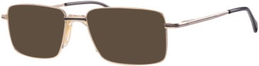 Ferucci FT-739 glasses in Gold