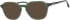 Synergy Syn-6083 glasses in Matt Green