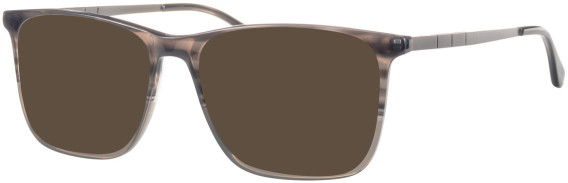 Colt 3552 glasses in Grey