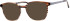 Colt 3558 glasses in Brown