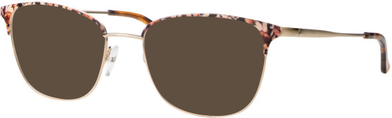 Ferucci F1836 glasses in Brown