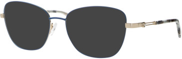 Ferucci F1838 glasses in Blue/Gold
